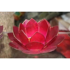 Lotus blomster Dark Pink - se flere Lotus blomster